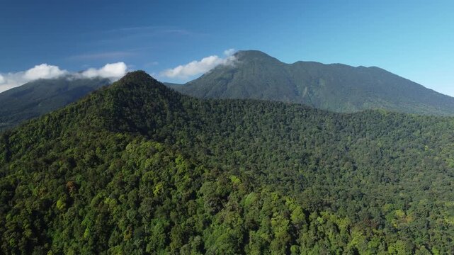 A forward-moving drone shot shows the stunning green forest canopy in the Mount Gede Pangrango National Park area, Indonesia.