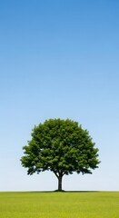 Obraz premium Lush Green Tree with Full Foliage Standing in a Bright Green Grassy Field Under a Clear Blue Sky