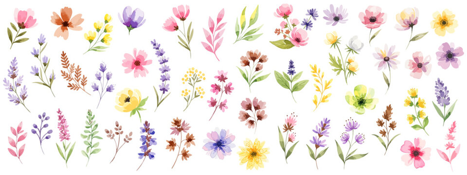水彩風の春の小花と草花セット素材イラスト｜ナチュラルなボタニカル花コレクション ピンク/イエロー