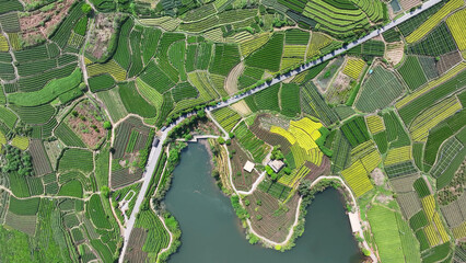 Fototapeta premium Aerial view of terraced farmland surrounding a reservoir in rural southern China