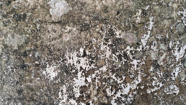 Old dirty wall texture with stains and rough surface, ideal for grunge background, abstract texture, and urban decay concepts.
