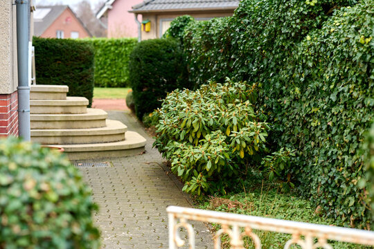 Calm garden stroll