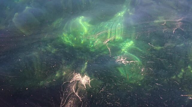 Water surface creating an abstract nature pattern, showing vibrant green algae blooms, floating organic particles, and wavy reflections moving freely across the fluid texture