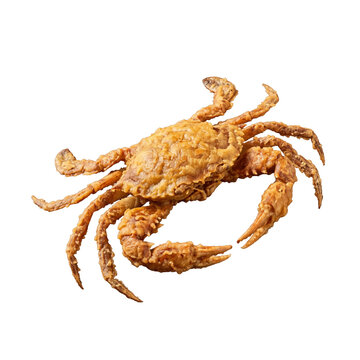 Golden-brown crispy fried soft shell crab isolated on isolated background, fresh seafood dish for restaurant menu.
