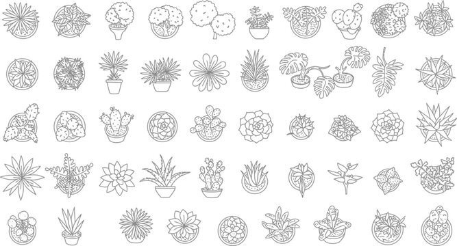 Collection of diverse botanical illustrations of various plant species in a detailed drawing style on a white background