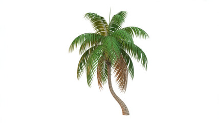 Single green palm tree with lush leaves standing upright in a natural setting Vector © NURJAHAN