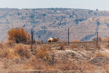 Tank turret bunker fortification Israeli border arid hill landscape horizontal wide angle eye level copy space daylight © Igor