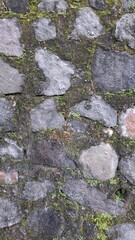Fototapeta premium Natural Stone Pavement Texture with Moss Background
