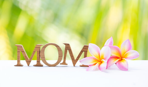 Mother's day card background idea, wooden font with plumeria flower over blurred natural green background