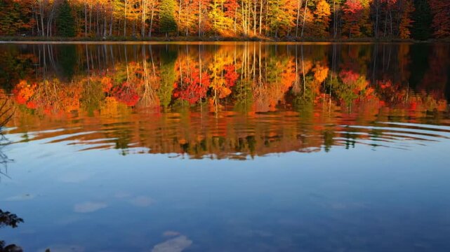 Stunning autumn foliage reflected in calm lake water creating a tranquil mirror image of nature's beauty
