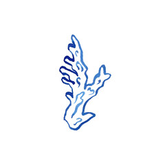 Fototapeta premium Hand drawn coral. Blue linear art coral, drawn in quick sketch technique. Use as print, poster, tattoo, label, logo, illustration, sign for invitation, greeting card, packaging design, textile.