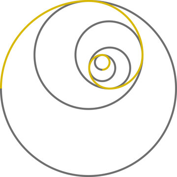 Golden spiral demonstrating mathematical principles of growth, balance, and natural forms