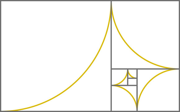 Golden spiral diagram showing mathematical perfect ratio and growth patterns