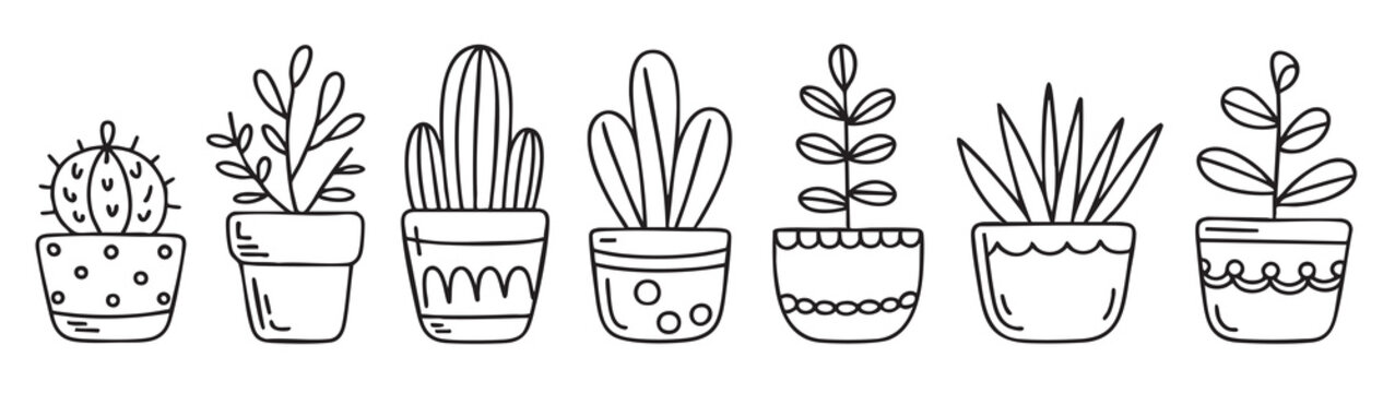 succulent, cactus, plant, pot, botanical, succulent plant, flower pot, indoor plant, home decor, hand drawn
