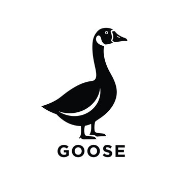 goose silhouette a black and white graphic representation of a waterfowl bird on a white background high quality professional detailed