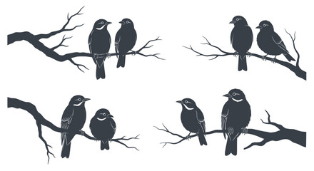 Group of small black birds perched. © Pak