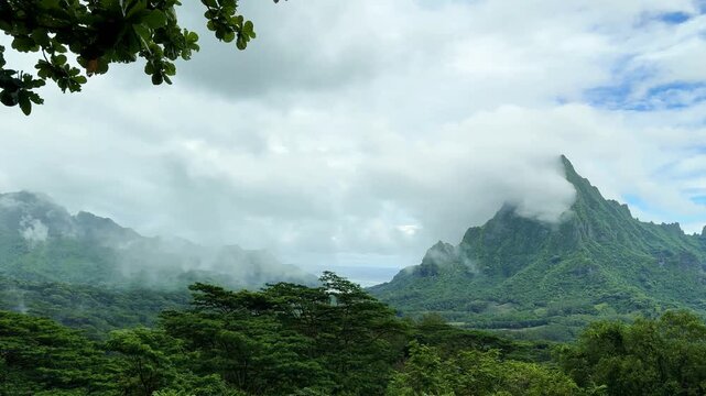 ベルヴェデーレ展望台から見た雨上がりのロツイ山と熱帯雨林の風景、タヒチのモーレア島、11月中旬