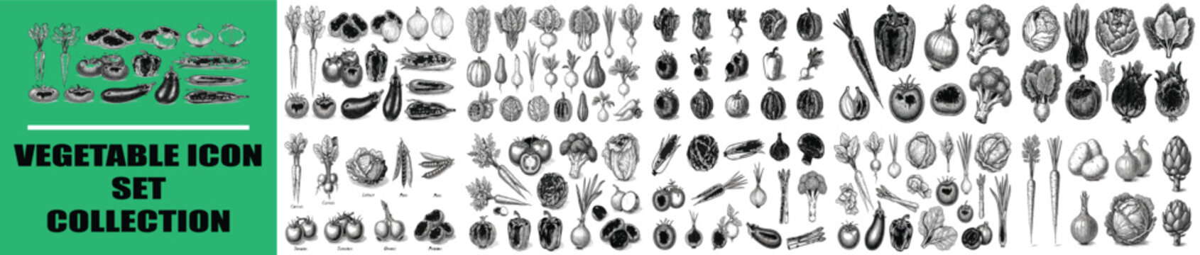 Hand drawn vegetable icon set collection, black ink sketch organic food illustrations, rustic garden produce vector graphics for menu design