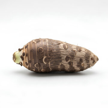 Closeup of a taro root vegetable on a white background.