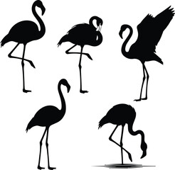 Naklejka premium Flamingo Silhouette Vector Set for Logo and Branding Design