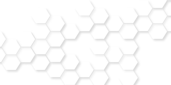  soft white background beautiful geometric pattern white gray hexagonal, abstract white vector wallpaper with hexagon grid,  seamless pattern of black hexagon grid line.