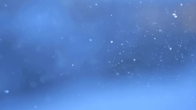 Gentle snowfall against a serene blue background. Captivating winter scene evoking tranquility and the beauty of nature's seasonal changes