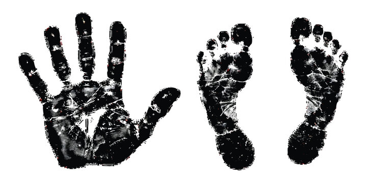 Black ink handprint and two footprints isolated on a clean surface