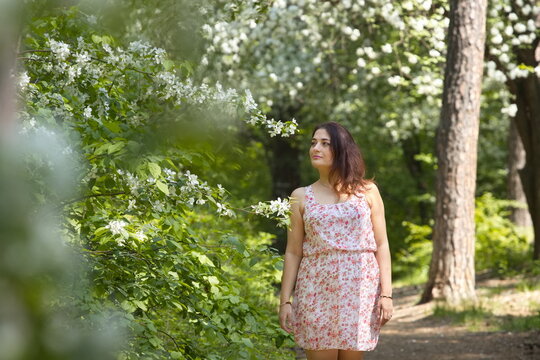 Portrait of a young woman in a spring park. A beautiful woman stands near a blossoming tree. 