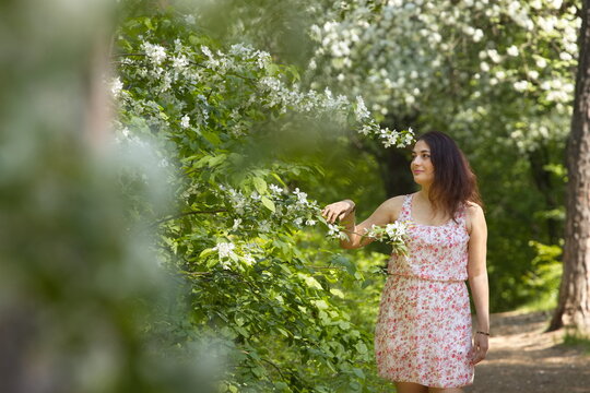 Portrait of a young woman in a spring park. A beautiful woman stands near a blossoming tree. 