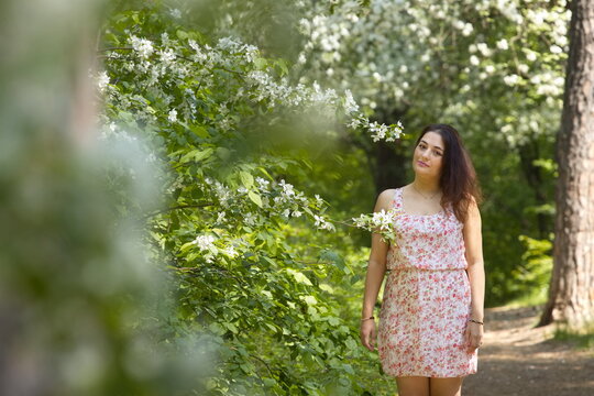 Portrait of a young woman in a spring park. A beautiful woman stands near a blossoming tree. 