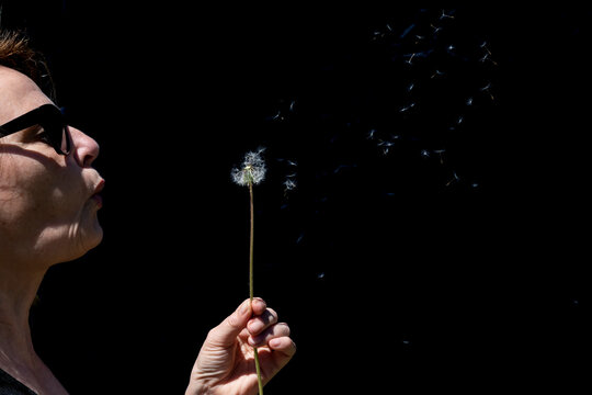 A woman makes dandelion spores fly by blowing on them