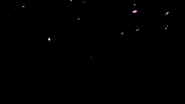 Cherry petals falling overlay with sakura petals falling 4K, pink petals animation white background, autumn leaves flutter down fall season and orange leaves falling	