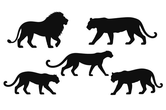 Collection of Wild Cat Silhouettes Featuring Lion, Tiger, Leopard, Cheetah, and Panther. Majestic Big Cat Predators in Walking Poses, Isolated Vector Icons for Wildlife and Safari Theme Designs.