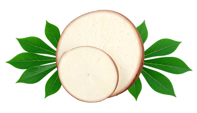 cassava isolated on transparent background, PNG.