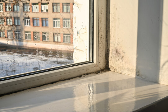 Black mold growing on window slopes and frame due to condensation and high humidity. Mold damaged white wall surface near window. Problem with dampness and mold inside house room.