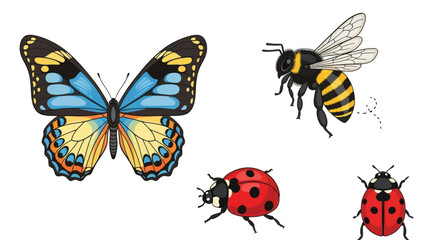 Colorful Butterfly, Bumblebee, and Ladybugs on White Background © malika