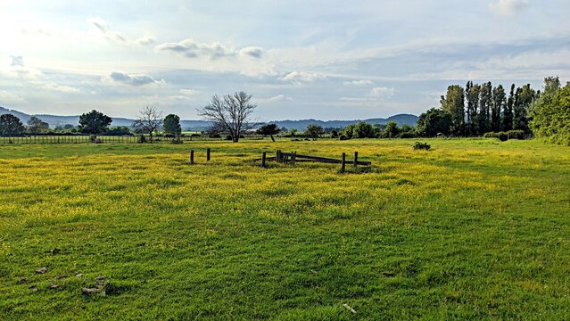 Prairie pr&eacute;s de Calvisson