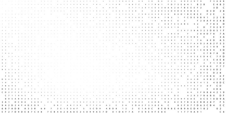 A high-density digital tapestry featuring a horizontal distribution of binary code in various tones. This visual explores the rhythmic flow of data across server architectures 