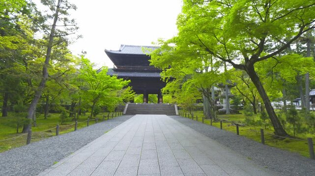 京都　新緑の南禅寺の参道を、三門に向かって歩く