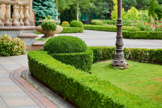 Lush green garden with neatly trimmed hedges and elegant stone paths at midday
