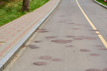 Obraz premium Road marked with patches showing wear and tear, revealing stories of many travelers