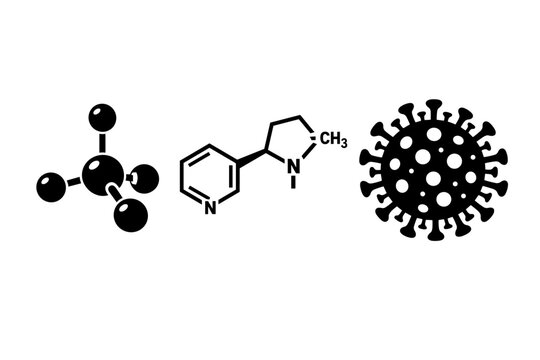 Scientific illustration of molecular structures including methane, nicotine, and coronavirus depicted in a simple flat black and white vector style for educational chemistry and biology materials.