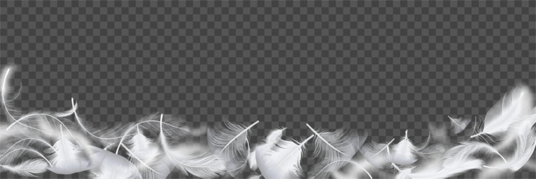 Delicate feather falling background. Soft airy backdrop with plumelets. Realistic abstract environment with floating elements. Vector artistic design, visual concept or decorative surfaces