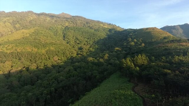 Stunning aerial view of the majestic green peak of Mount Arjuno under the clear blue sky in the morning.