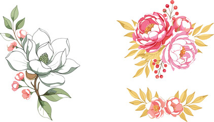 Elegant floral arrangements with magnolia and peony flowers, decorative botanical compositions with leaves and berries in soft watercolor style vector illustration © jafrine