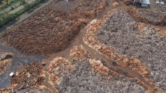 Aerial view of a wood chip pile for pulp and paper production