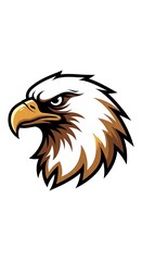 Fototapeta premium American bald eagle head illustration.
