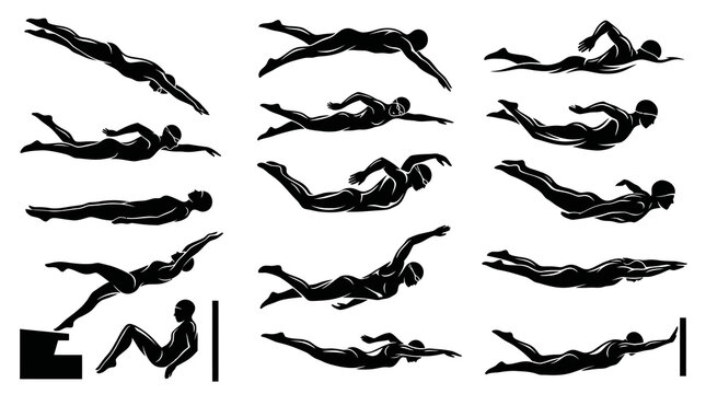 Black  White Silhouettes of Swimmers in Various Positions for Sports  Recreation