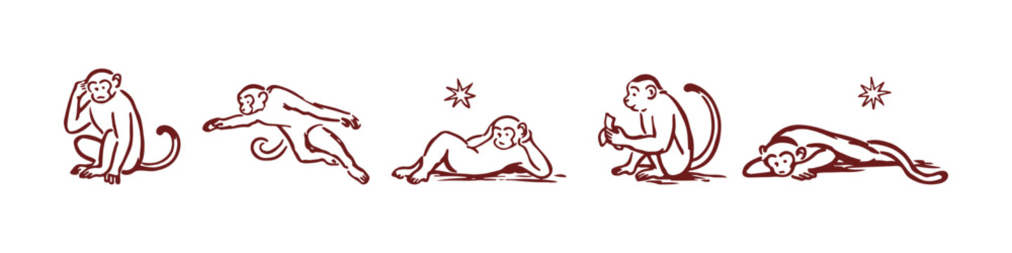 Hand drawn monkeys in different poses, minimal line art animal set, playful primate illustrations in simple sketch style for design use