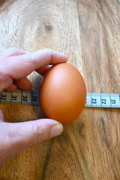 Hand holding brown egg with measuring tape representing egg dieting, weight loss and healthy eating concepts. Minimal composition with Copy Space.